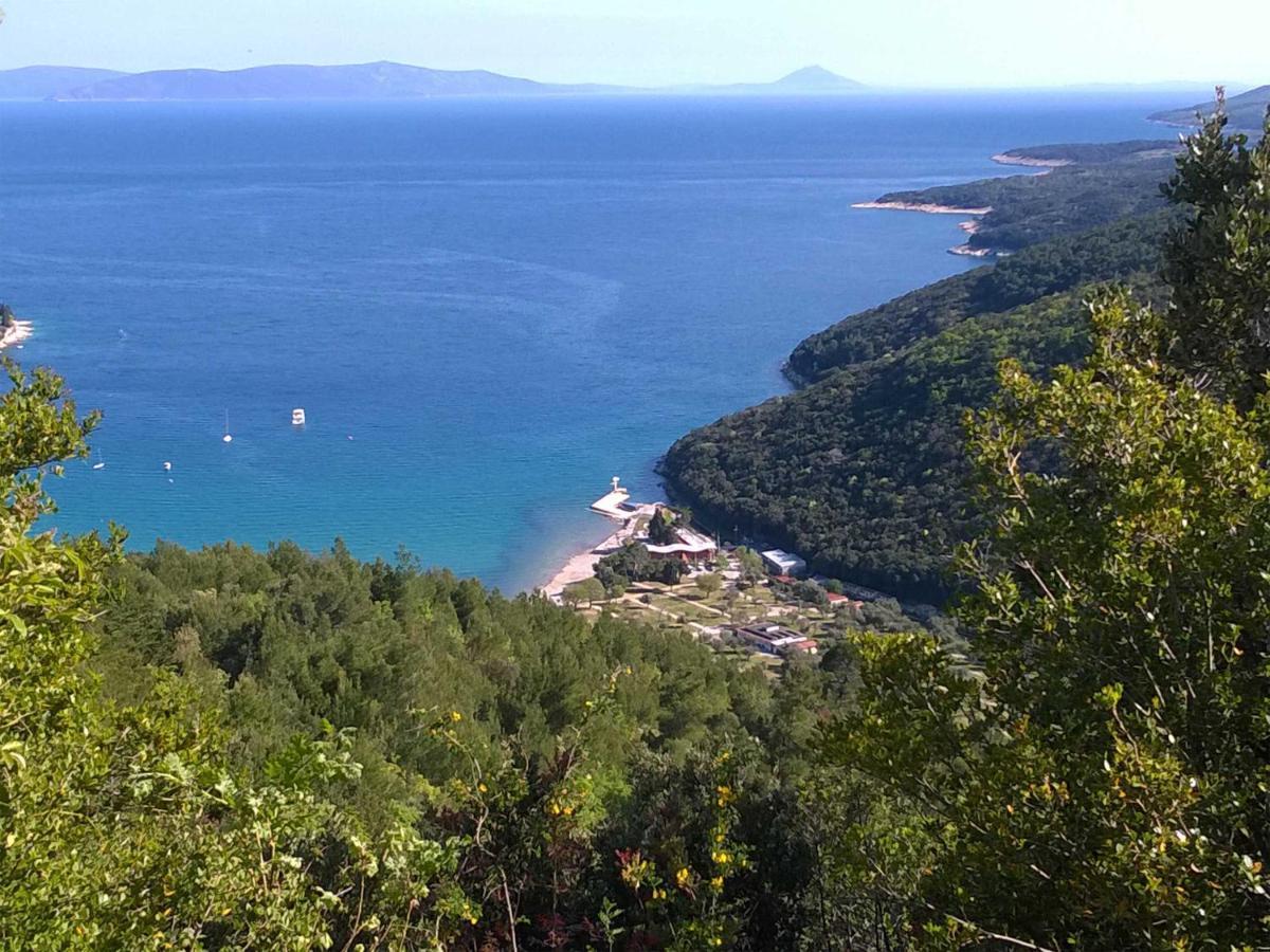 North Adriatic View Apartment Rabac Exterior foto